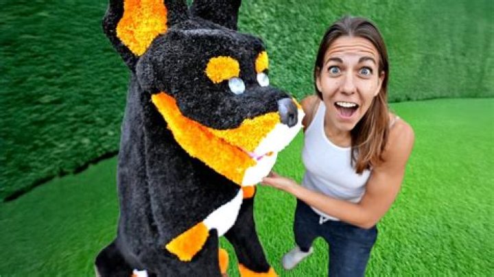 Ali Spagnola Pets