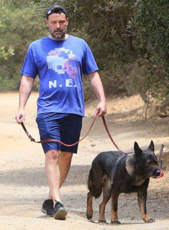 Ben Affleck Pets