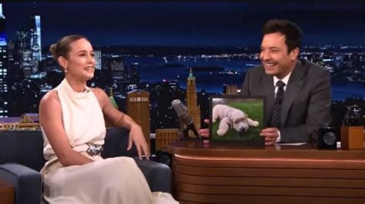 Brie Larson Pets