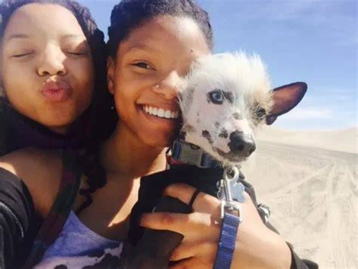 Chloe Bailey Pets