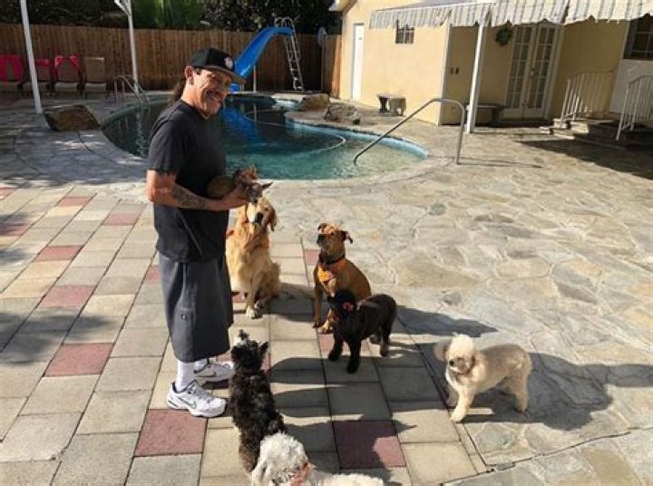 Danny Trejo Pets