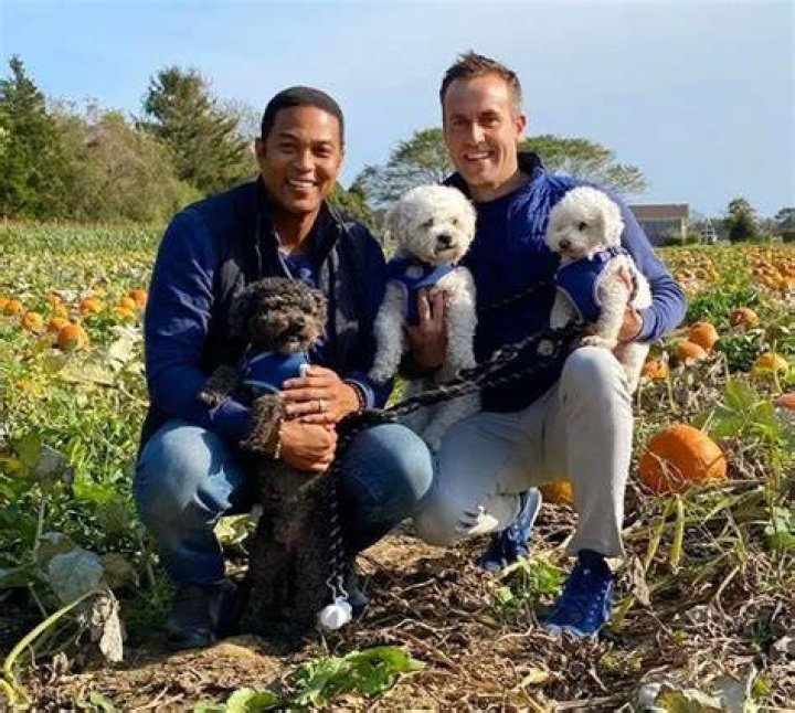 Don Lemon Pets