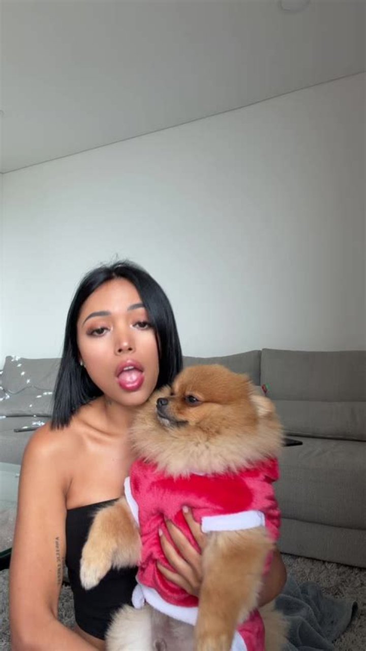 D’Amelio Dog Pack TikTok