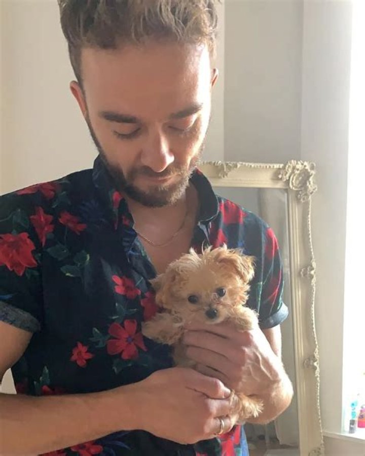Jack P. Shepherd Pets