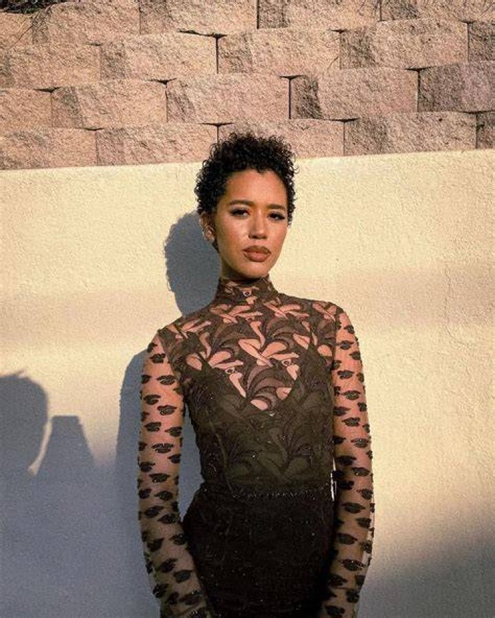 Jasmin Savoy Brown Pets