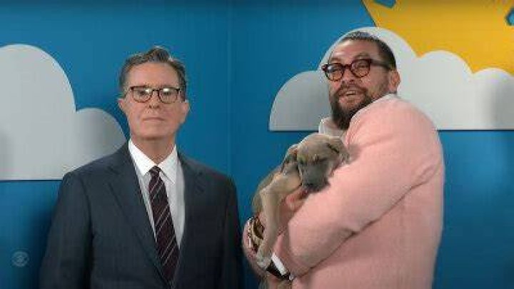 Jason Momoa and Stephen Colbert Cuddle Rescue Dogs and Lie To Get Them Adopted