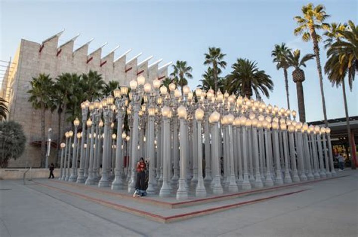 LACMA's Art + Film Gala 2011 - Arrivals