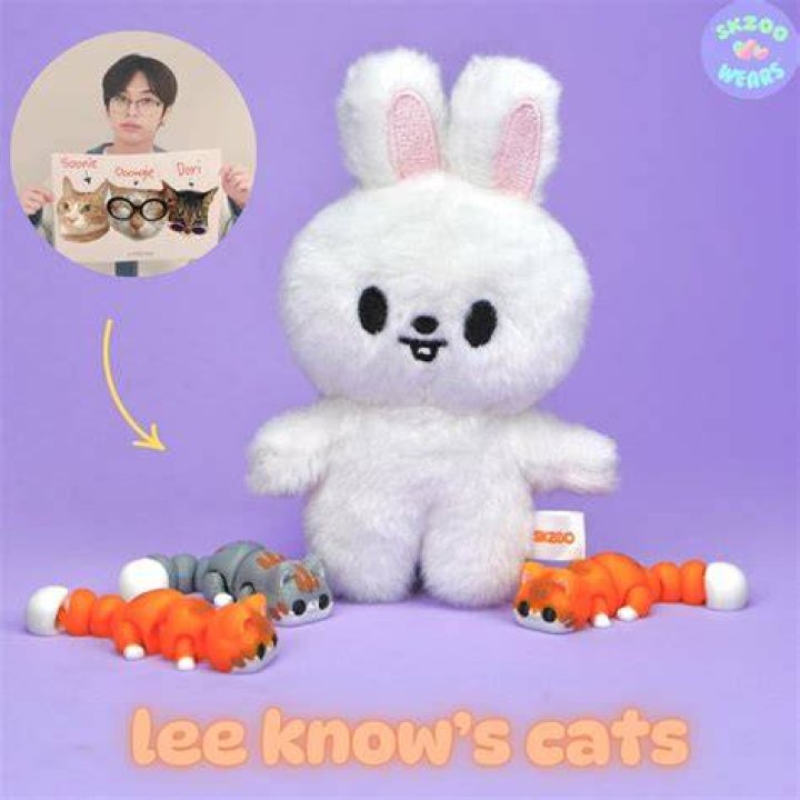 Lee Know Cat Soonie
