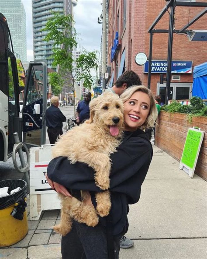 Lizze Broadway Pets
