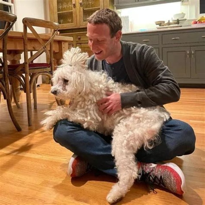 Mark Zuckerberg Pets