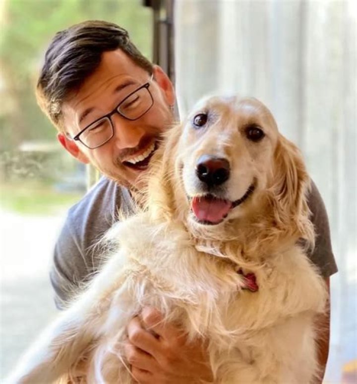Markiplier Pets