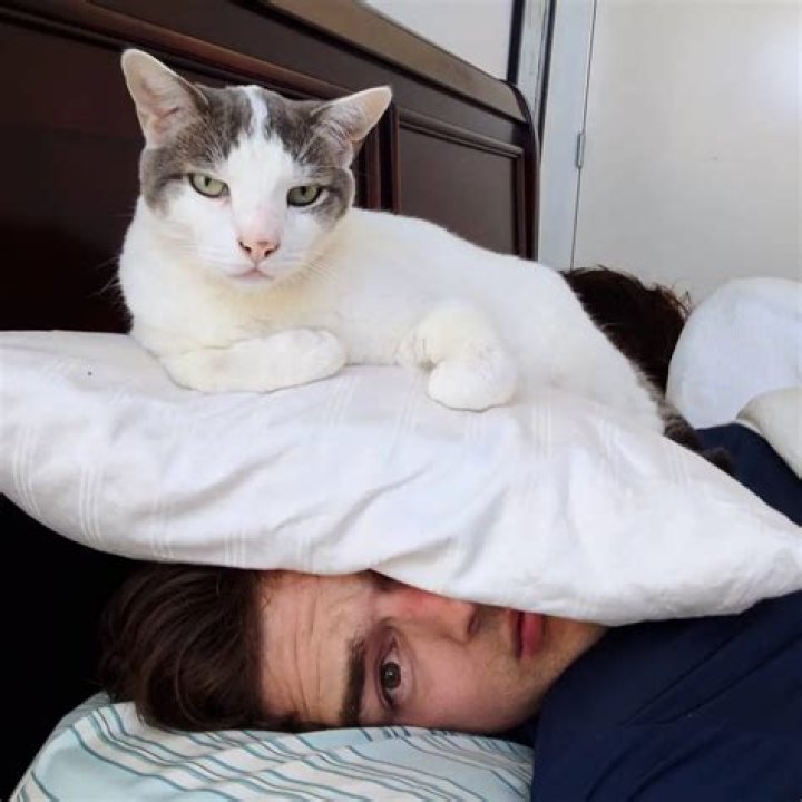 MatPat Pets