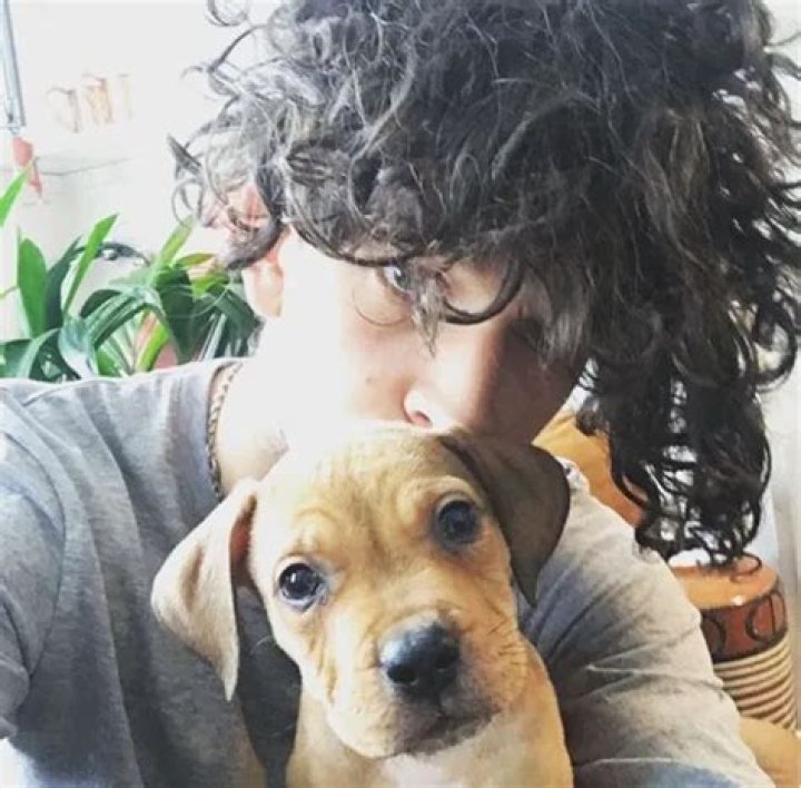 Matthew Healy Pets