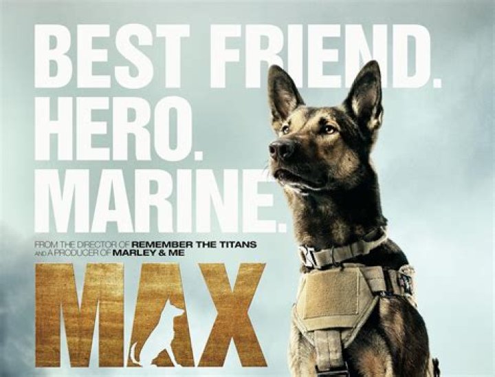 Max hero dog