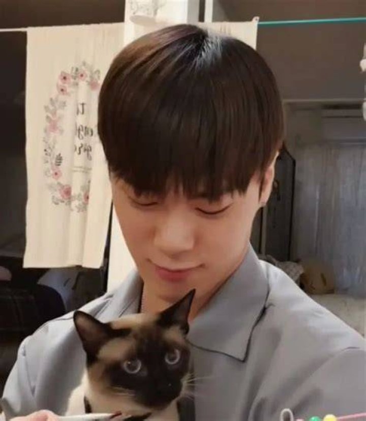 Moonbin Pets