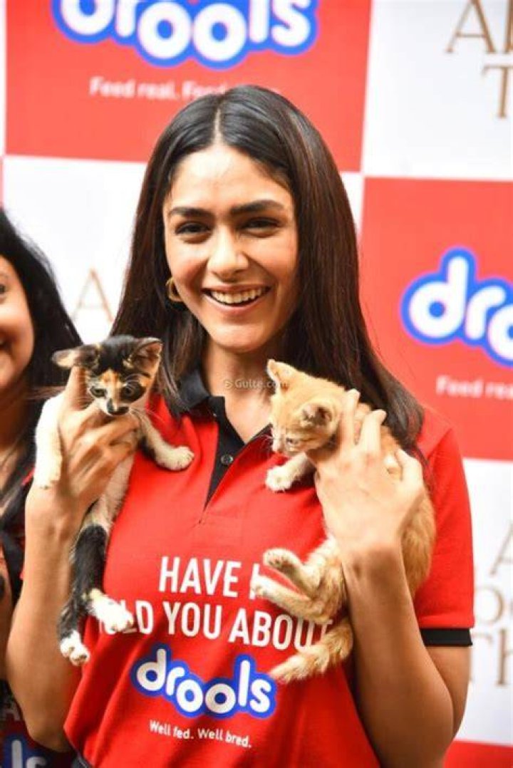 Mrunal Thakur Pets