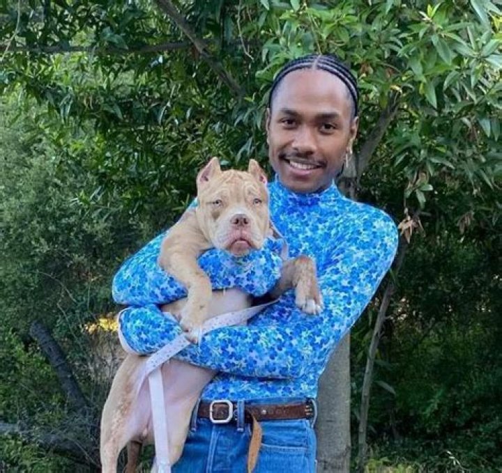 Steve Lacy Pets