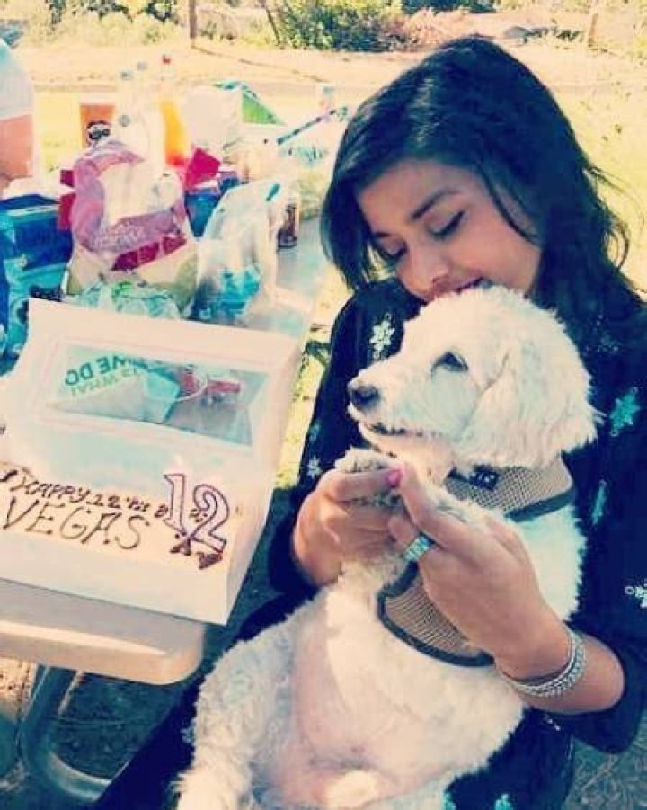 Tiya Sircar is celebrating her dog, Vegas' 12th birthday