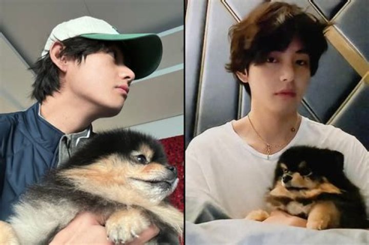 V (Kim Tae-hyung) Pets