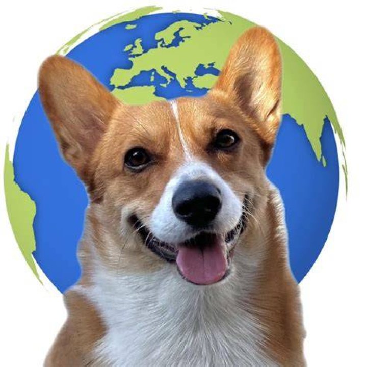worldwide_winston